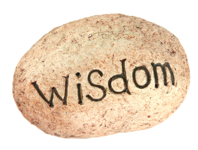 Understanding: Wisdom Destined Before Time Began